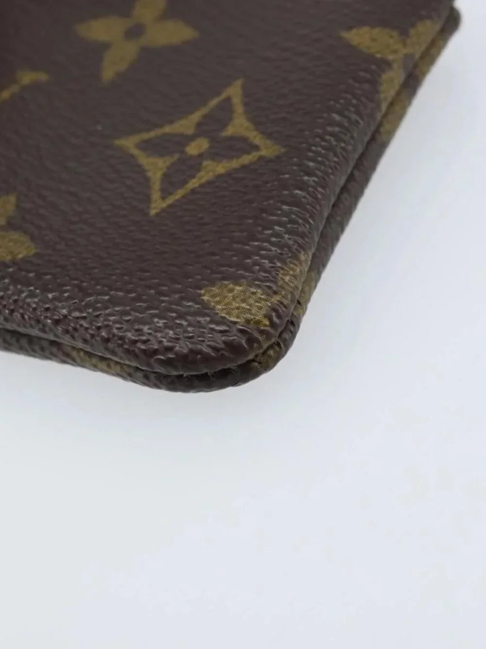 Louis Vuitton brand louis